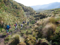 SANGAY-TRAIL-TREK