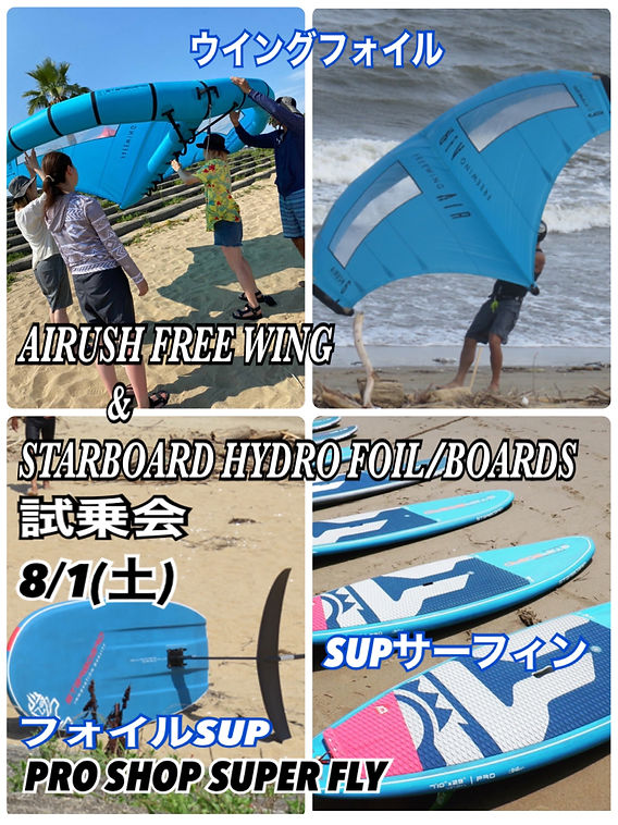 ウイング フォイルWing Surfing Air V1 4m2｜マリンスポーツ