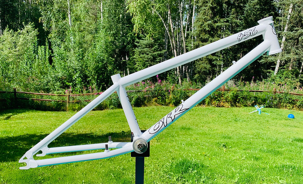 Thumbnail: Cory Berglar 456 Frame