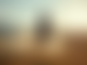 Capture the Magic: Horse Show Photography Tips