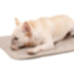 Miniatura: Tapete Lavable Impermeable PeePad Bamboo- L 100x67cm