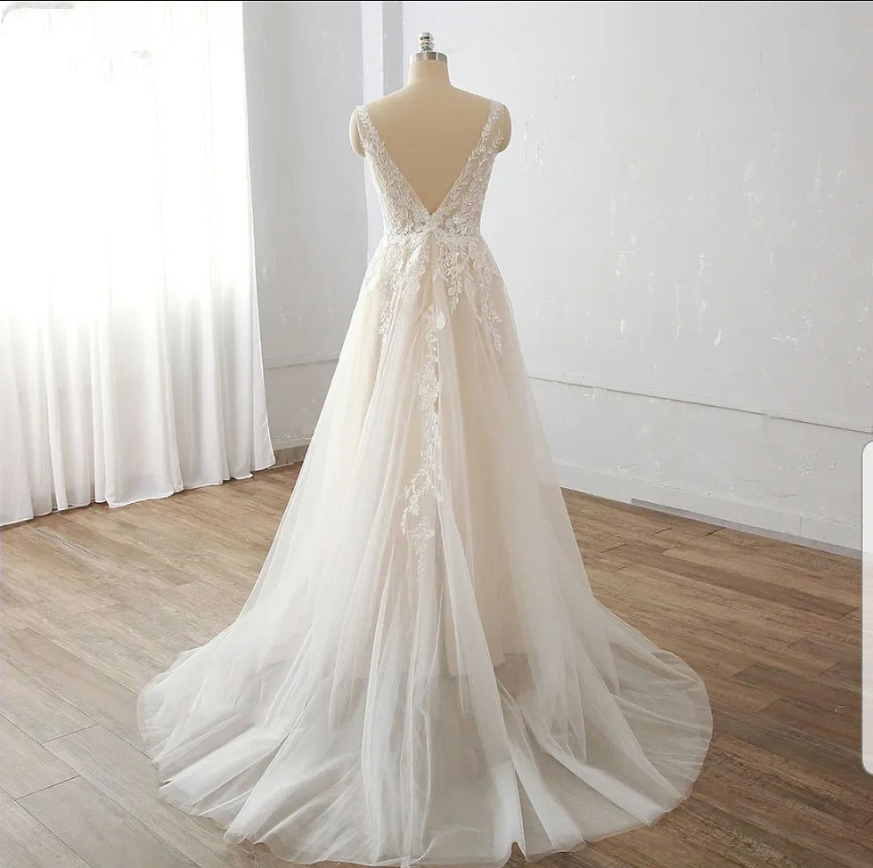 Thumbnail: Champagne Sleeveless Bridal Lace V Neck A Line Plus Size Wedding Dress MD824