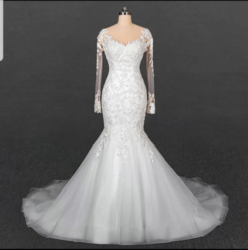 Long Sleeve Mermaid Wedding Dress with Pearl Back Beading and Lace Appliques main image 0