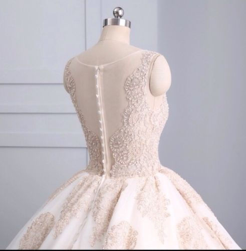 Thumbnail: Stunning Sleeveless Champagne Lace Beaded Wedding Bridal Dress MD206