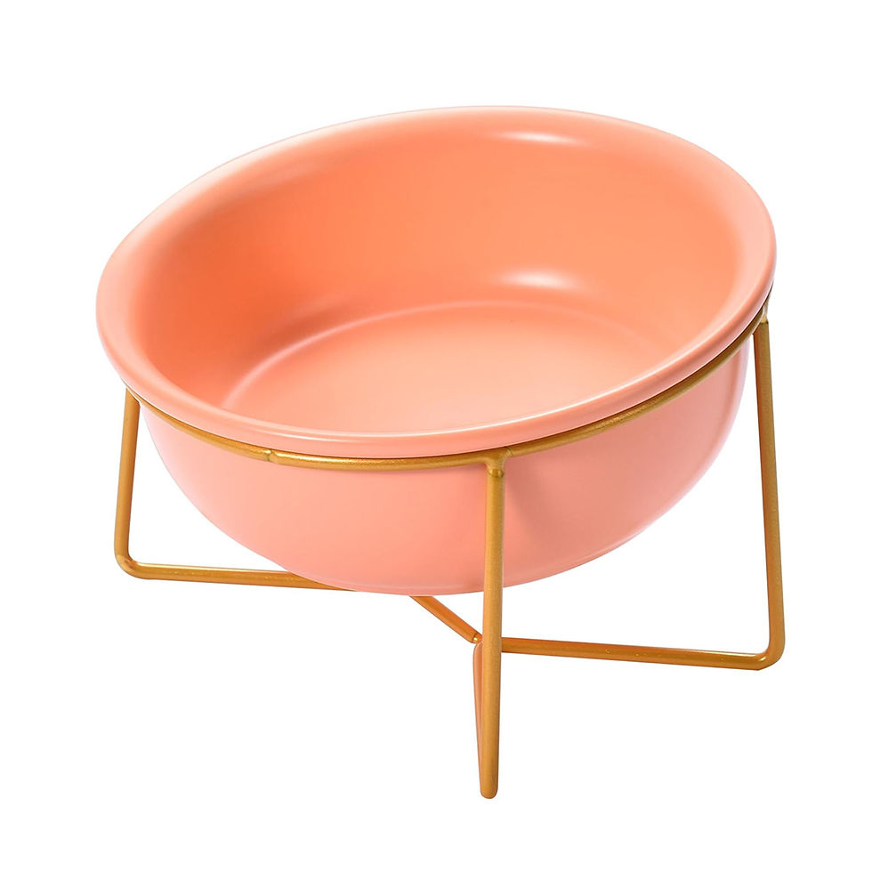 Miniatura: Plato Elevado de cerámica con base de metal - Inclinado