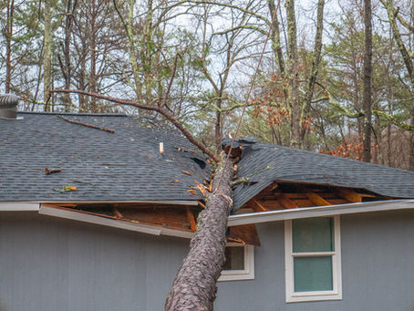 Fallen tree on a house roof amidst a forest, causing damage. The roof is dark gray and the mood is tense with broken branches around.
