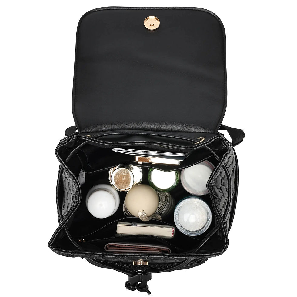 Compass Mini Carry On Backpack, Lots of Storage