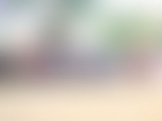 CRECCOM Participates in Green Jobs for Adolescents and Youth Project Dissemination Workshop