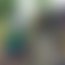 EU Delegation Applauds CRECCOM's Impact on Youth Livelihoods and Green Skills Development