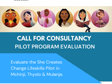 Call for Consultancy - Pilot Program Evaluation
