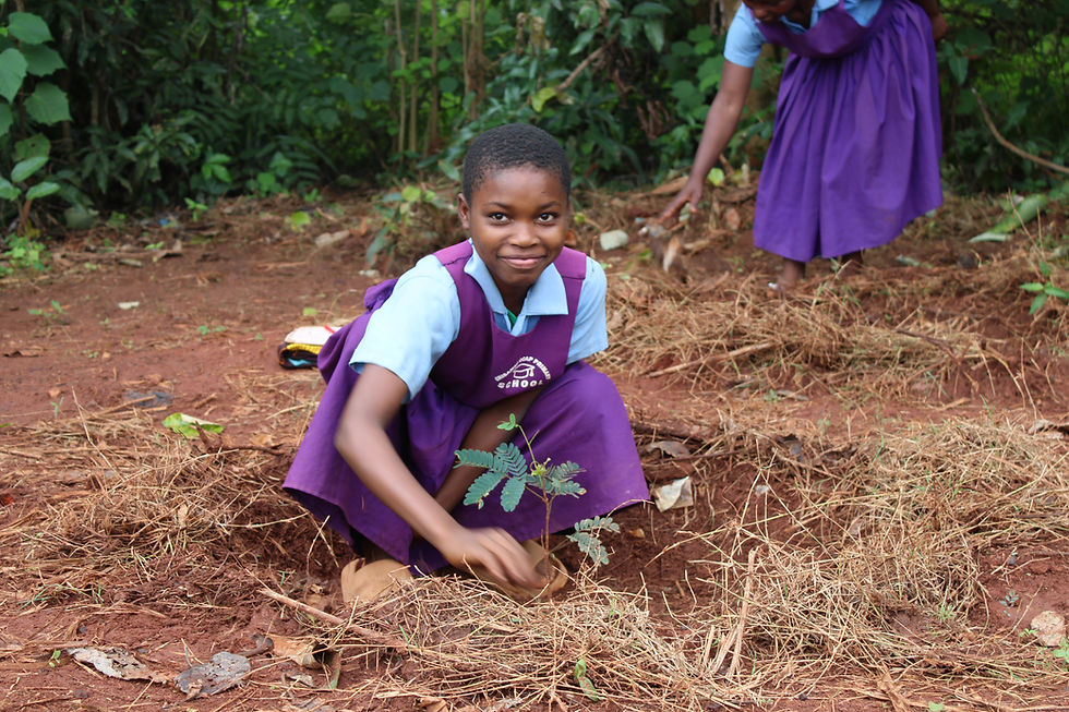Young Learners at Chisambe Primary Taking the Lead in Disaster Preparedness