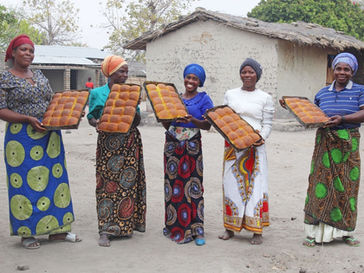 Chikomwe CBO's Path to Empowering Needy Students and the Elderly