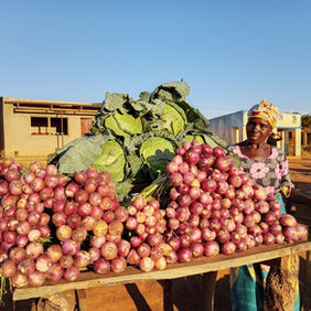 Seed Capital Helps Mzimba Mother Build a Thriving Family Business