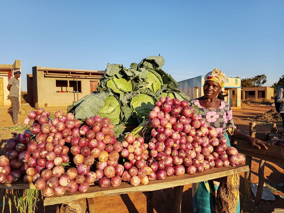 Idah Mumba proudly displays the cabbages and onions she sells as part of her growing business supported by the SP-GEAR project.