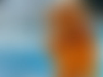 Jetzt noch anmelden! Einzigartiger Koffer Flohmarkt im Freibad Papenhorst am 26. August