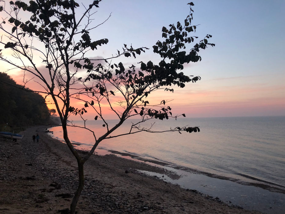 Sonnenuntergang am Meer mit Baum im Vordergrund