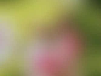              I Was In The Kitchen...