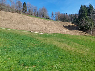 20250403_115001.jpg