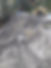 20241031_080527.jpg
