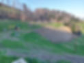 20250402_184516.jpg
