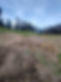 20250219_171410.jpg