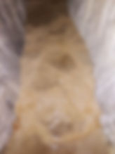20250331_081339.jpg