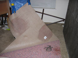 The Underside of the Carpet is Soaked in Blood