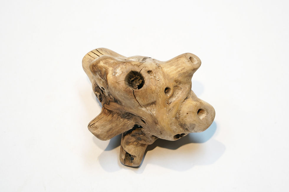 Driftwood sculpture