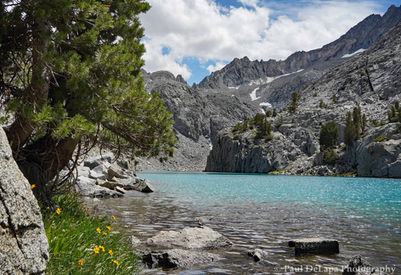 South Fork Big Pine Sierra Nevada