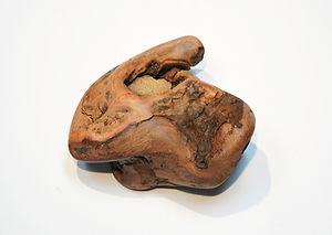Driftwood sculpture