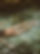 831250e440be5d8cf7041590647571bb_edited.jpg