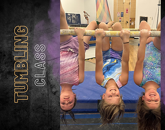 SEGA Classes - Website (9).png