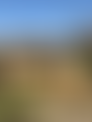 Alderton Allotment Association - Manure and Chippings Bays (2023)