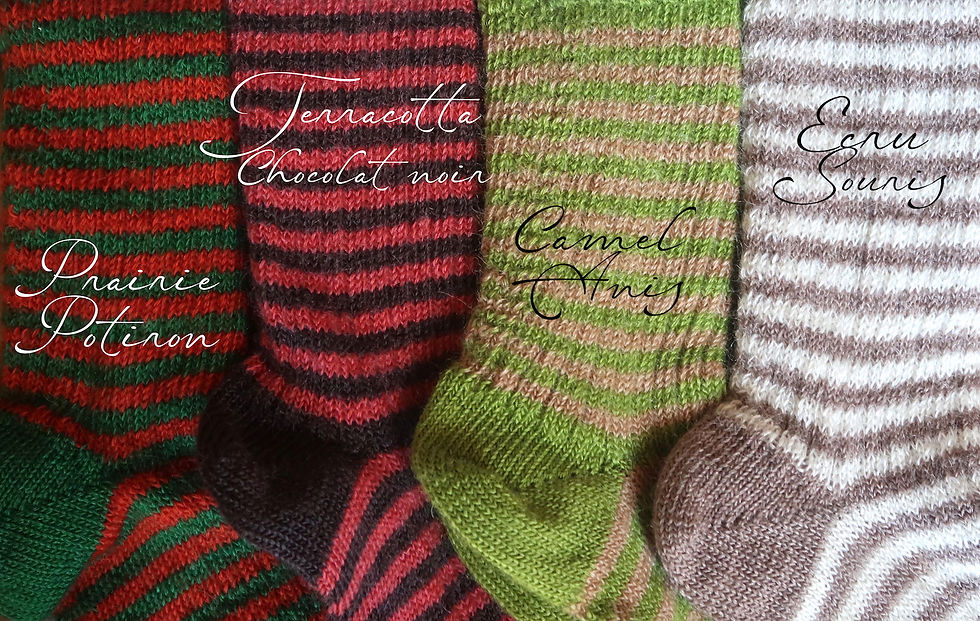 Miniature : Chaussettes classiques