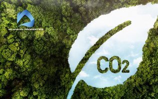 #15 Sustainability, Blockchain & Carbon Credits: a new way to Go