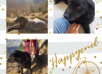 BOOMERs HAPPYEND ❤