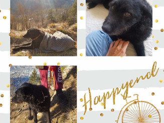 BOOMERs HAPPYEND ❤