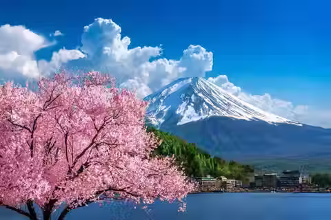 Event & Destination Management Company in Japan, Incentive Japan DMC