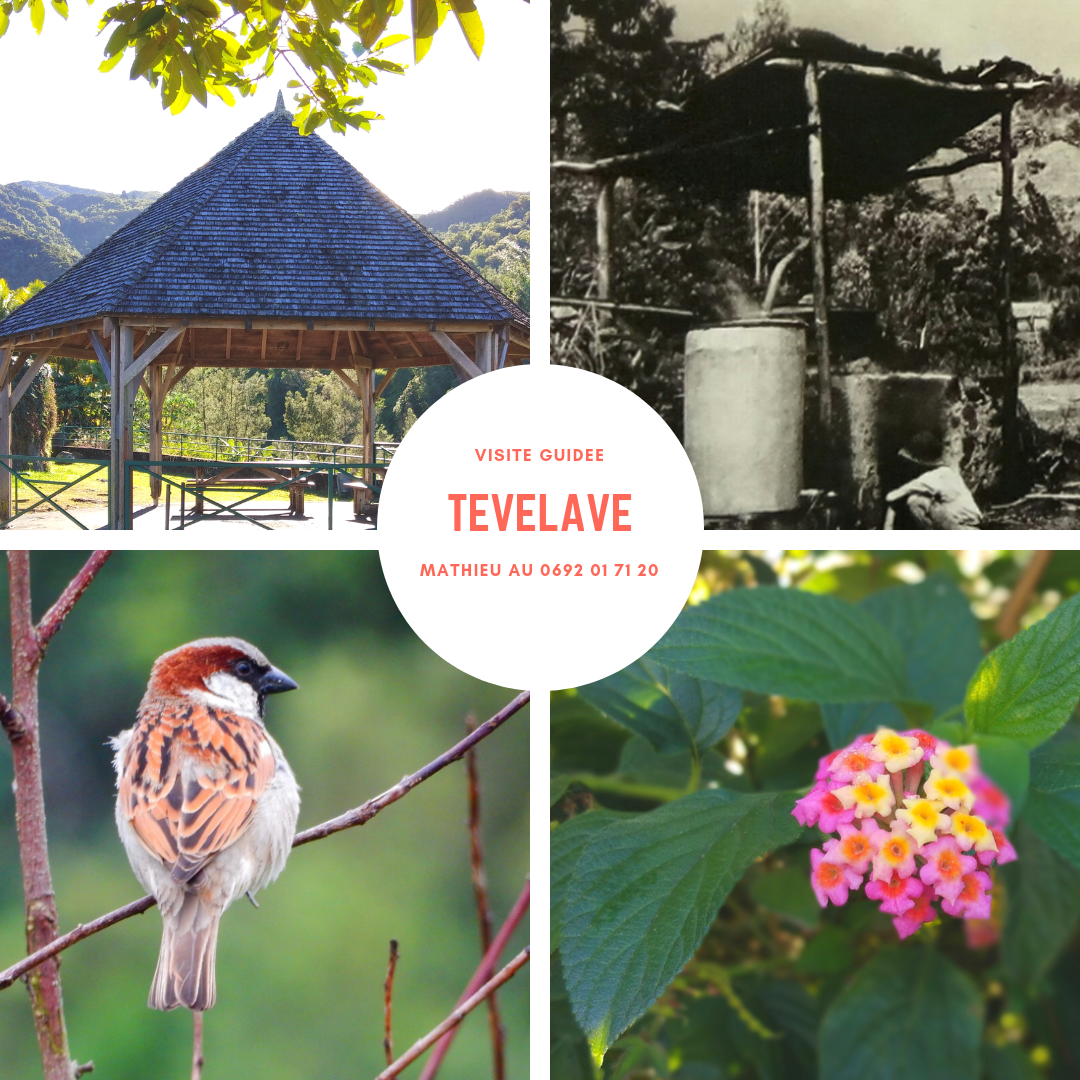 TEVELAVE