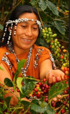Peru2.PNG