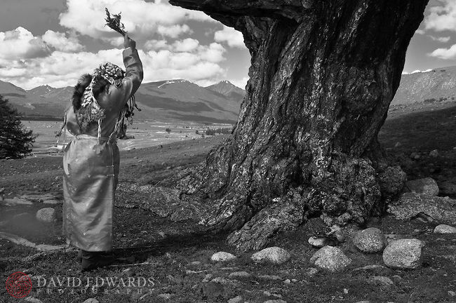 Blessing-shaman-tree-W-Mongolia