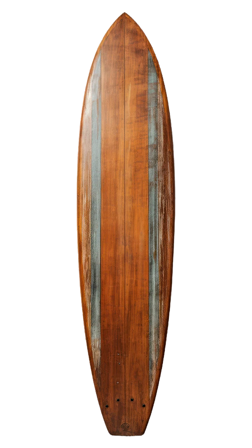 wood surf board boat rental baytowne_edi