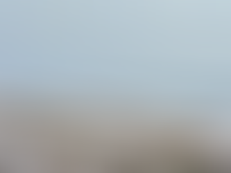 Airbnb’s in Destin, Florida: Your Guide to a Perfect Stay