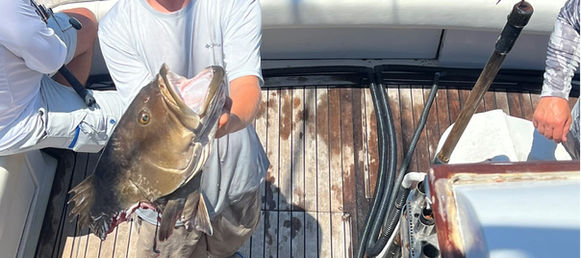 fishing charters florida.jpg