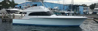 Fishing Charter destin.webp