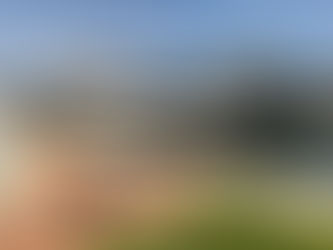 🌅 A Perfect Day on a Yacht in Panama City Beach