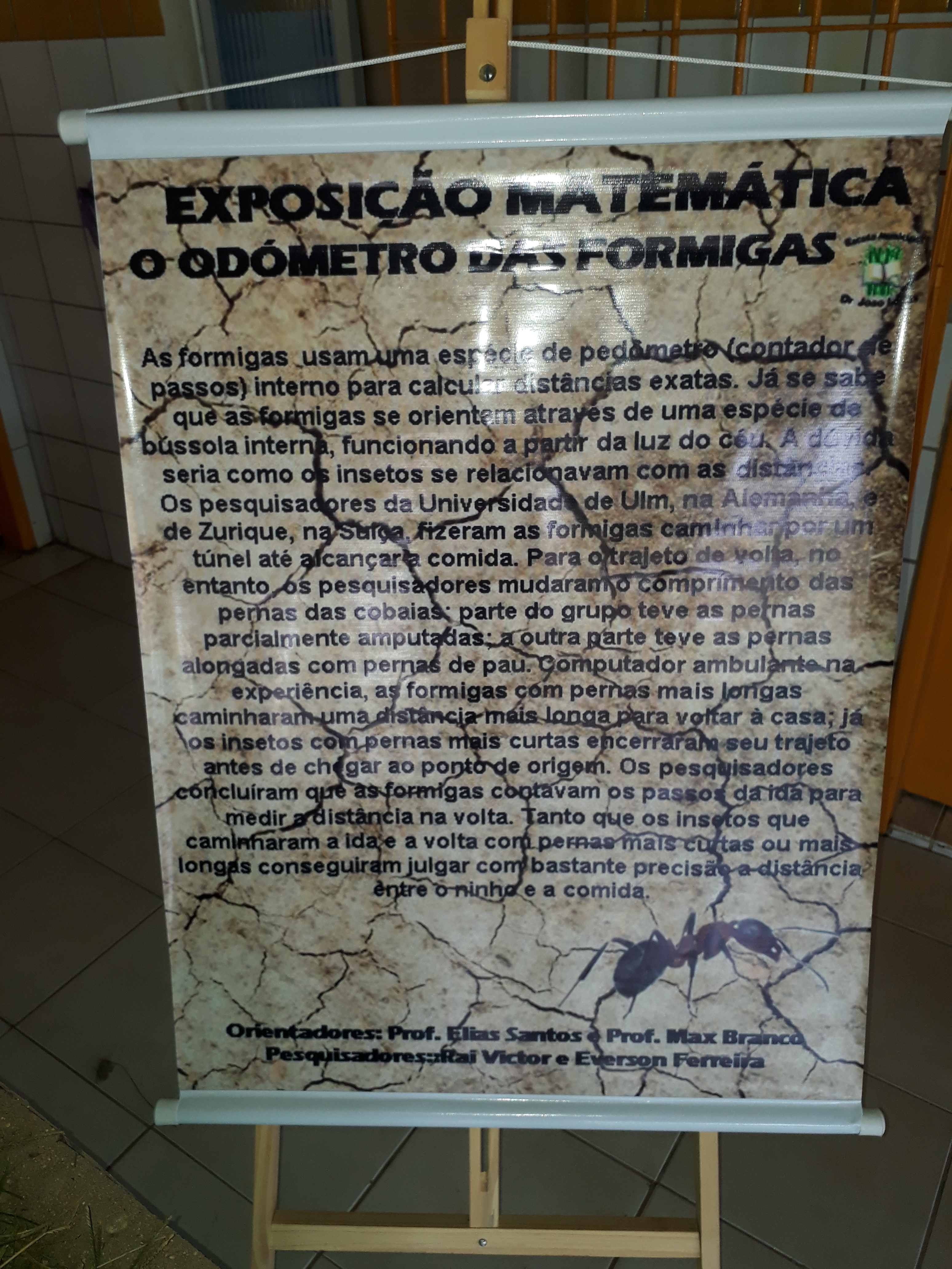 Exposição Matemática - Dr° João Lopes