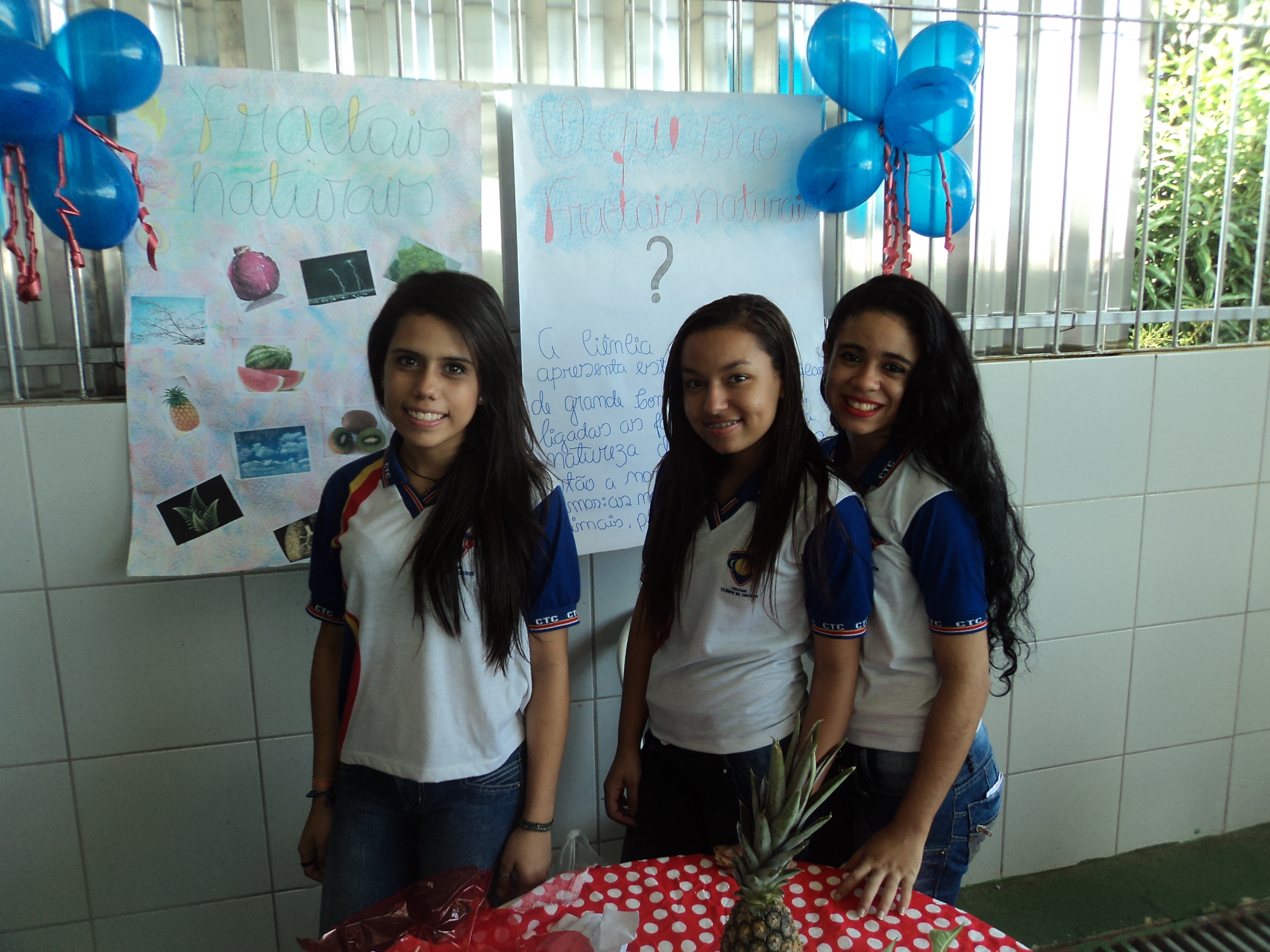 Projeto Fractais