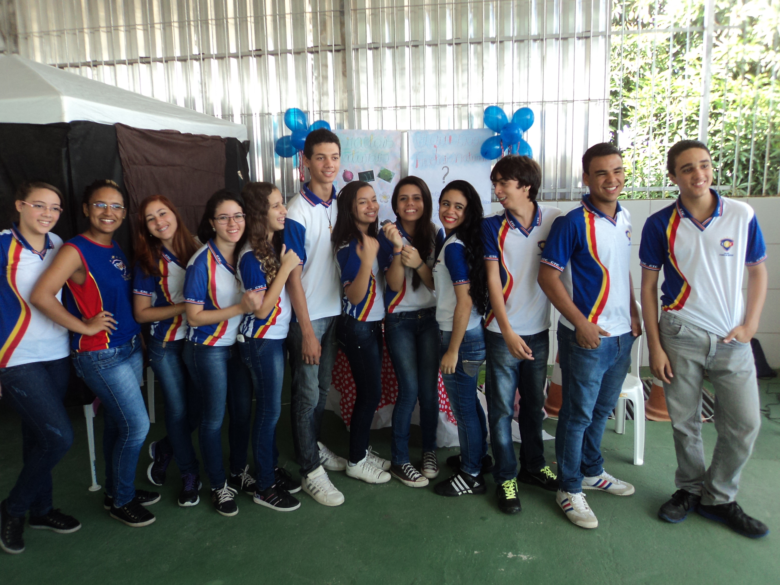 Projeto Fractais