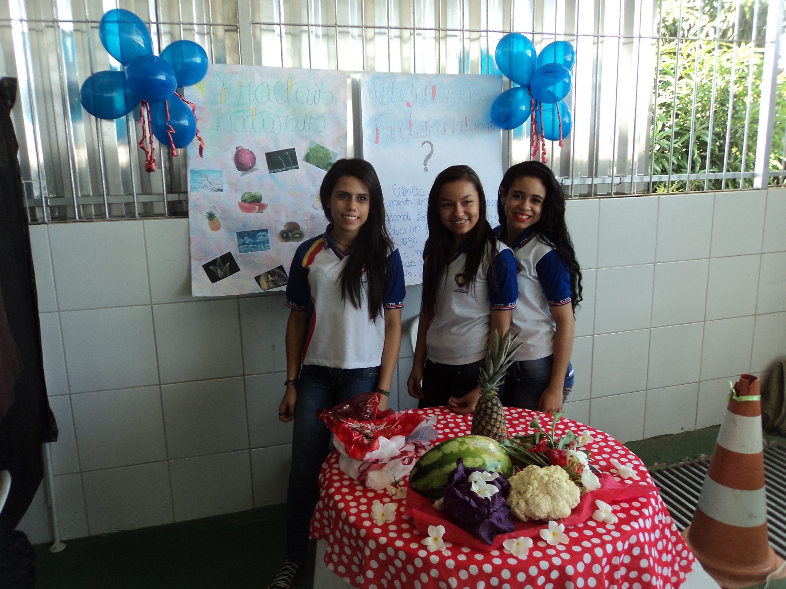 Projeto Fractais